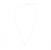 あいして～る こいして～る ぽに～て～る て～るす～ぷ　ネックレス