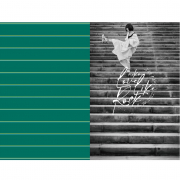 この一冊でaikoが出来上がる！DeaikoSTINI（創刊号のみ）