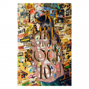 最高峰パンフレット